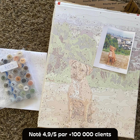 KIT DE PEINTURE PAR NUMEROS PERSONNALISÉ (TOUT INCLUS)